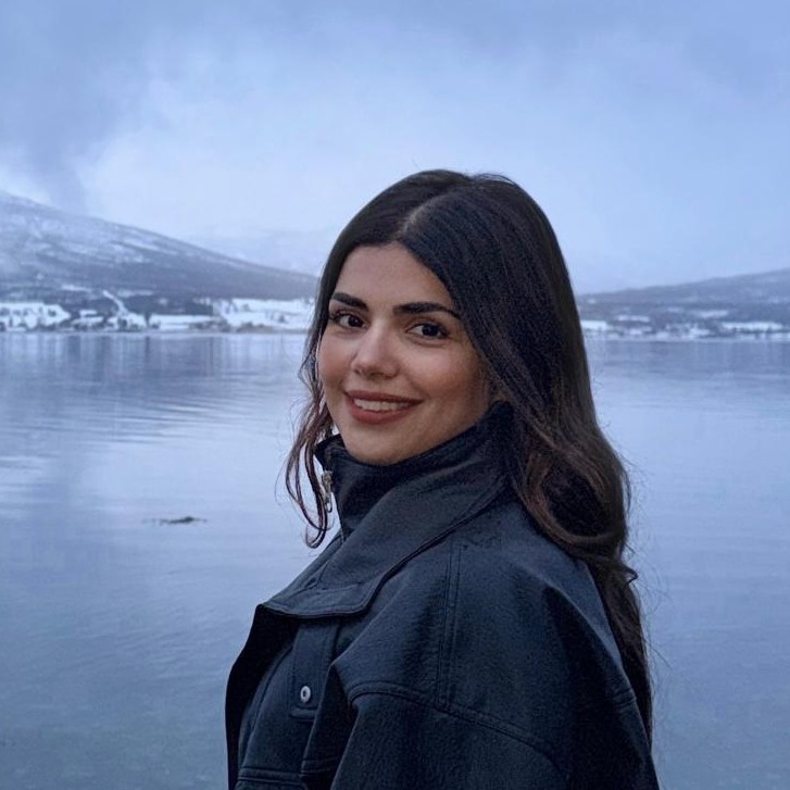 Navideh Ghafouri - AI & Wireless Networks Researcher